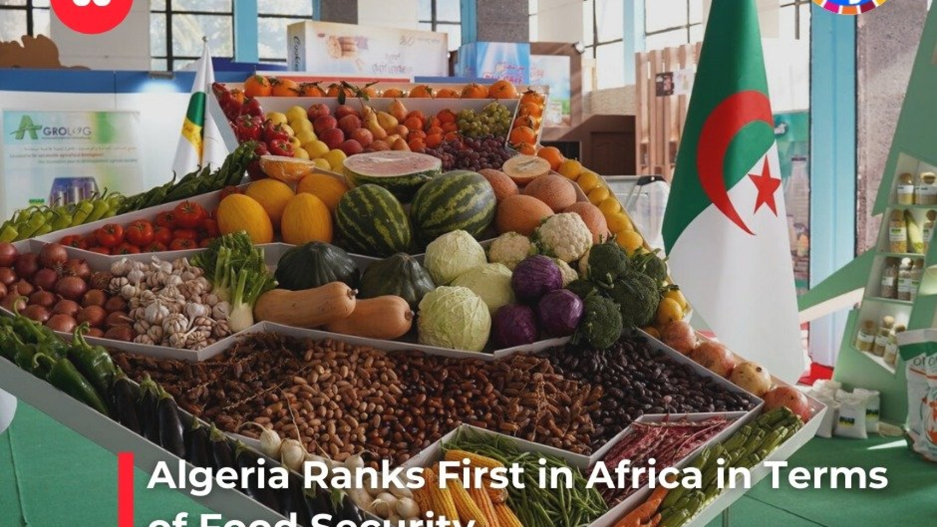 الجزائر تحتل المرتبة الأولى إفريقيا في الأمن الغذائي
