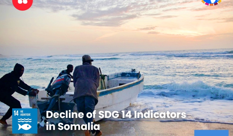 Déclin des indicateurs de l’ODD 14 en Somalie